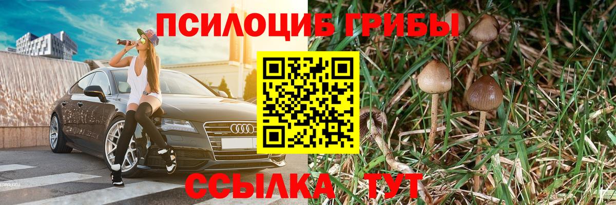 Моздок  Псилоцибиновые грибы прущие грибы  Вход с VPN 