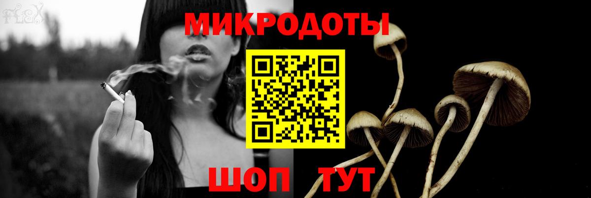 Галлюциногенные грибы MAGIC MUSHROOMS Моздок