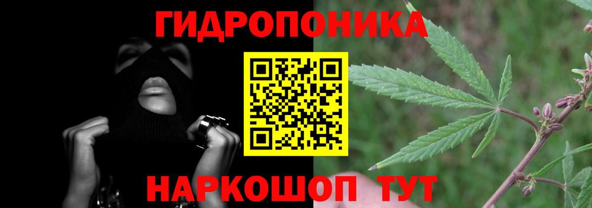 Бошки Шишки THC 21%  Вход с VPN  Шишки марихуана Ganja  Моздок 